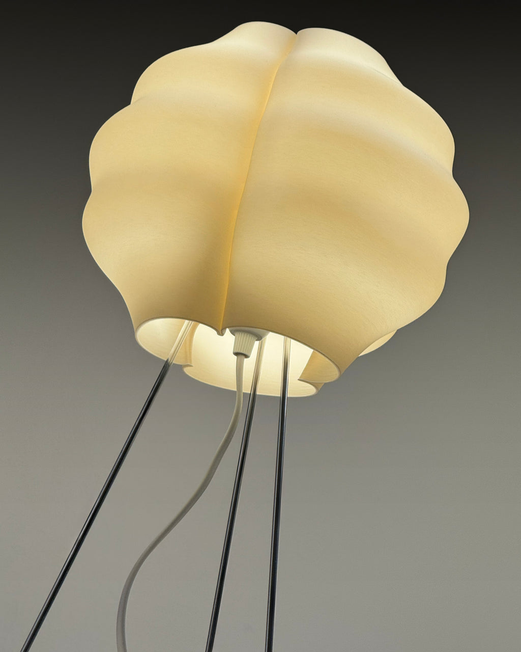 Apollon by Horst Schmal