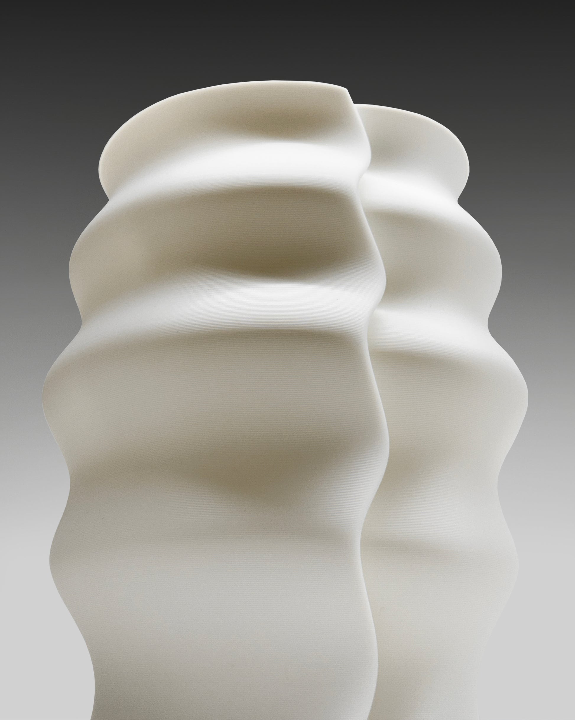 Escargot by Horst Schmal