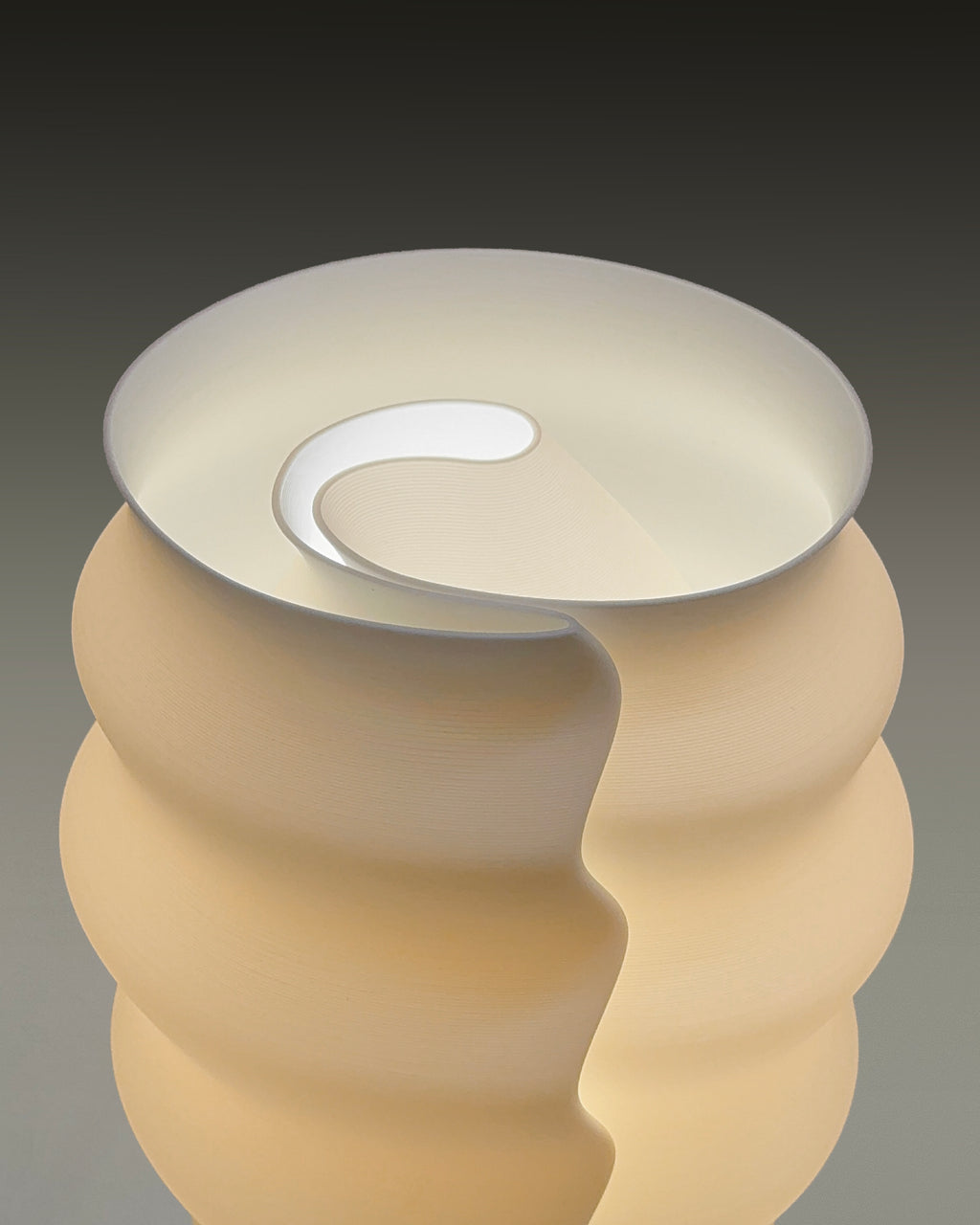 Escargot by Horst Schmal