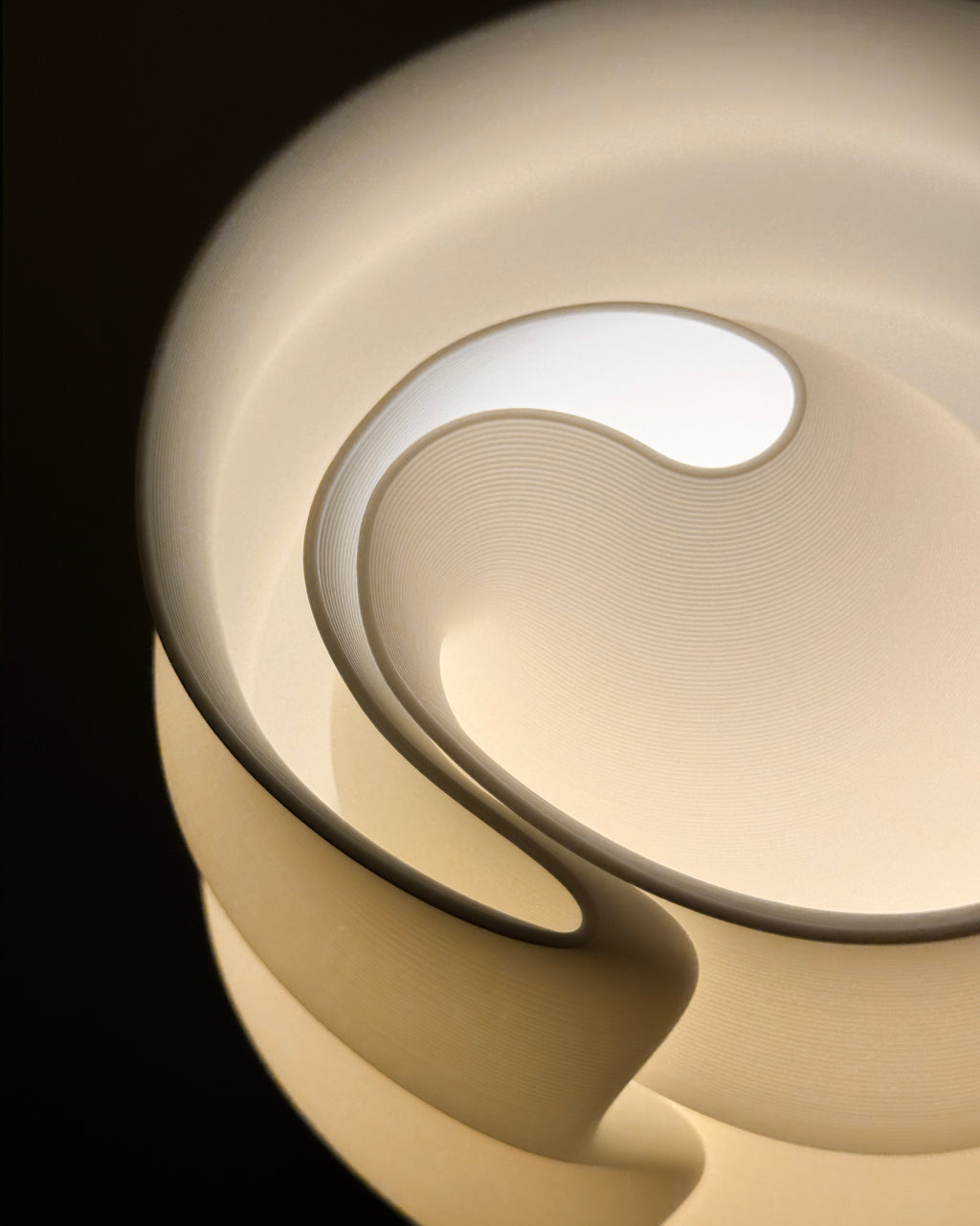 Escargot by Horst Schmal