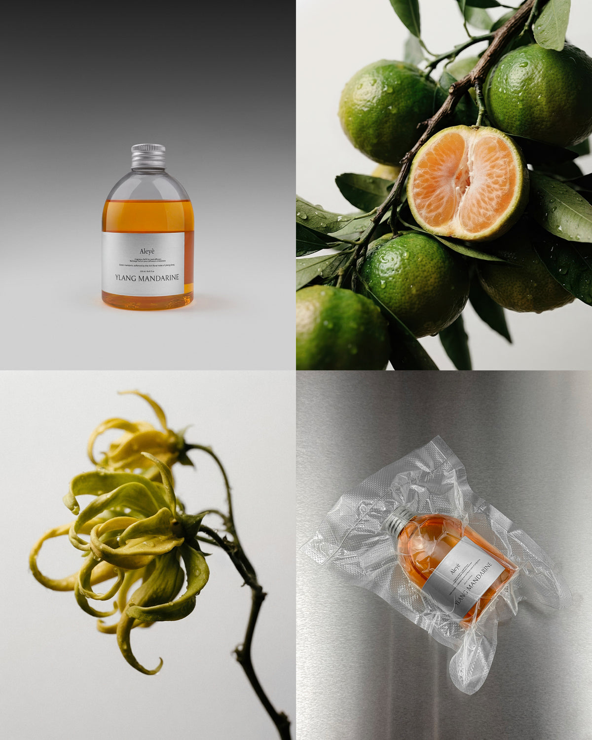 The Apothecary Duo