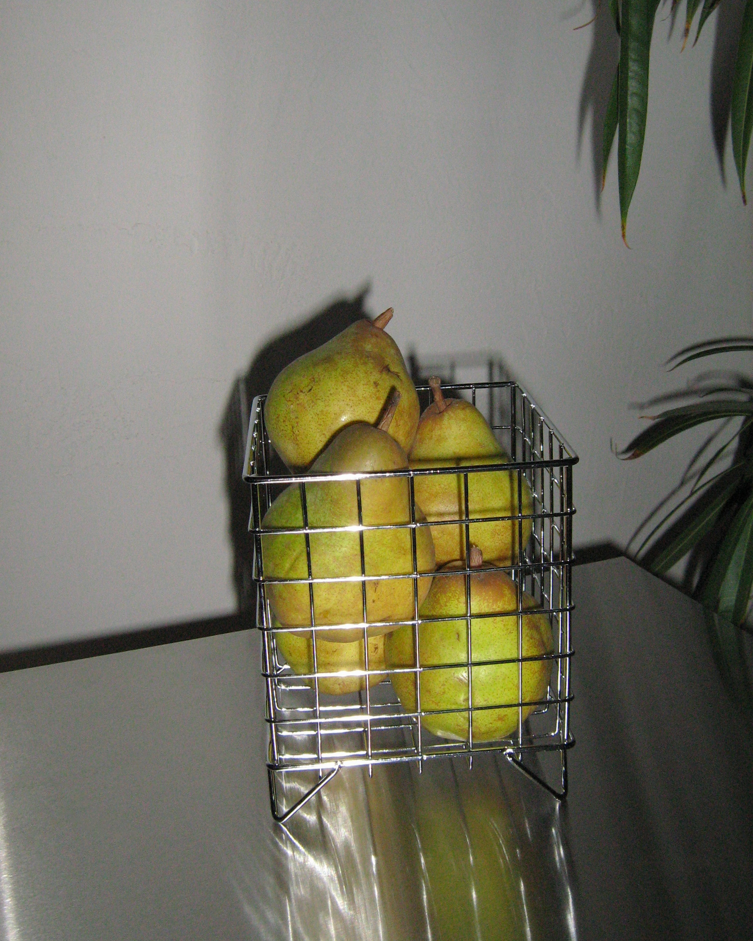 The Wire Basket