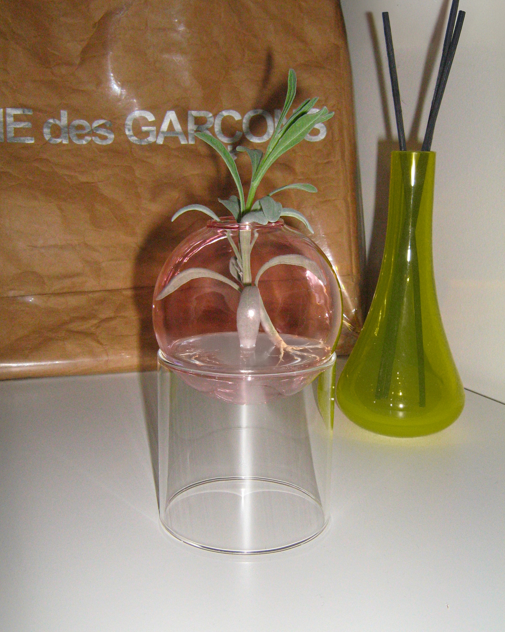 The Pink Eclipse Vase