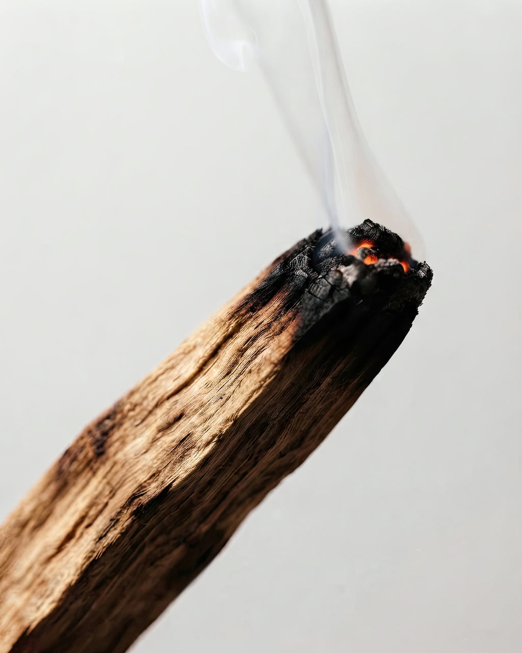 The Palo Santo