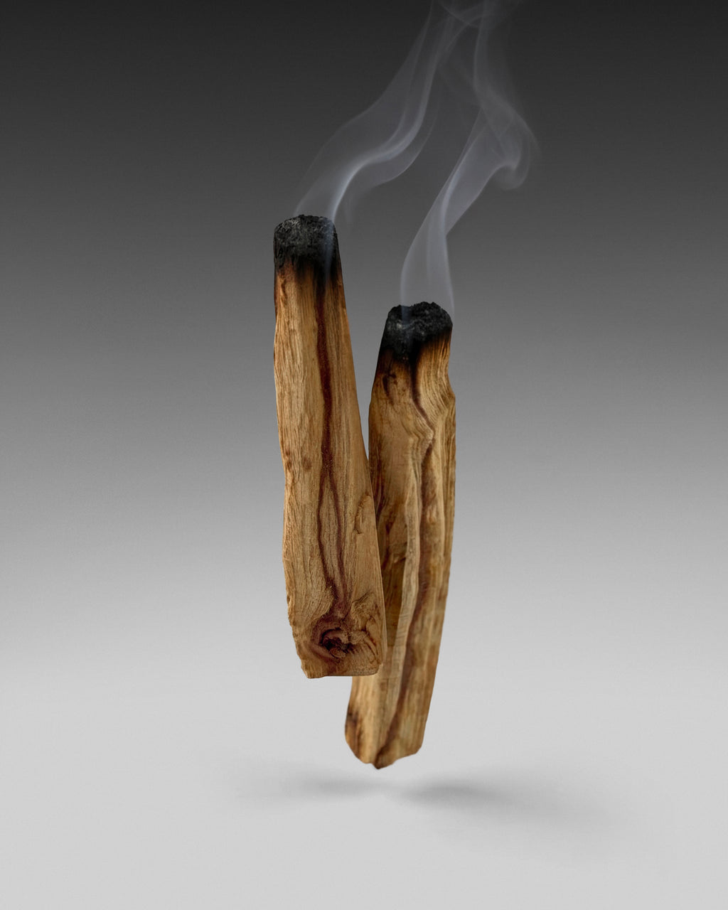 The Palo Santo