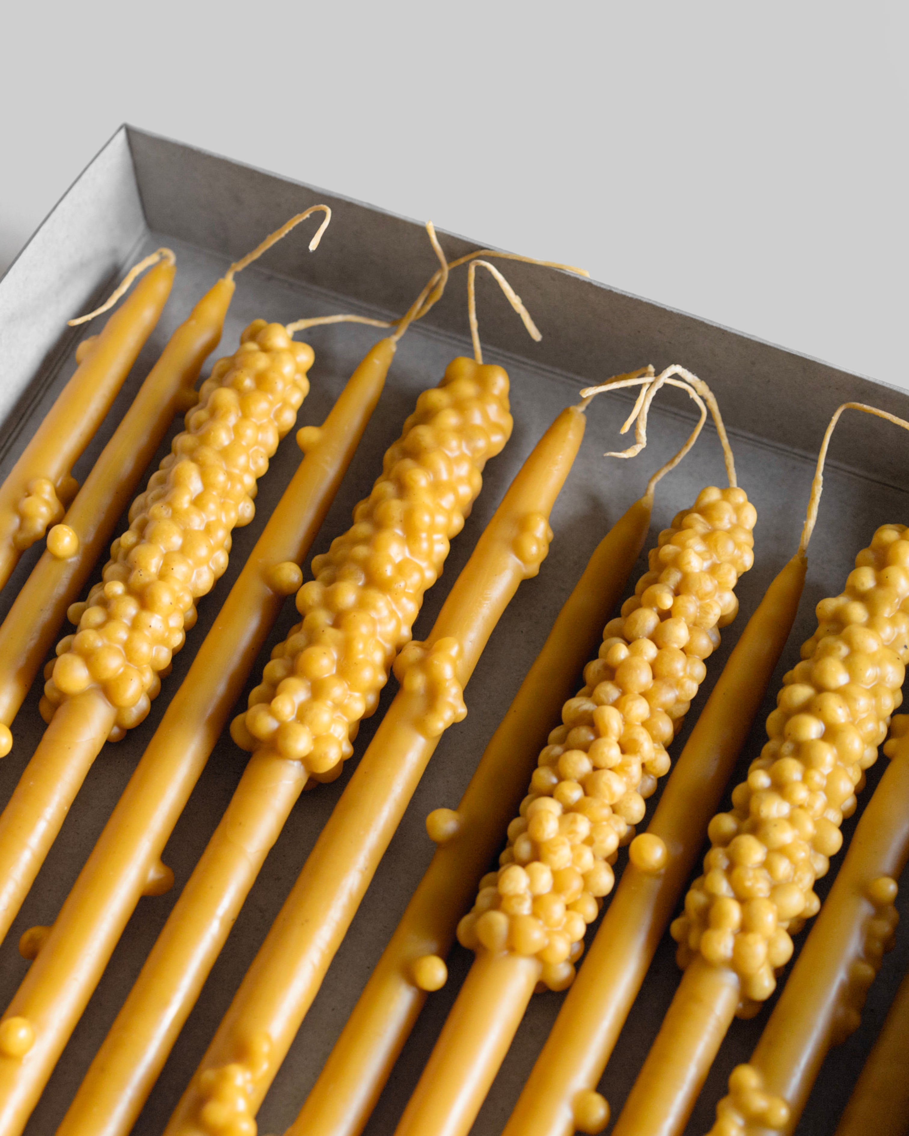Zapruda by Svetlica