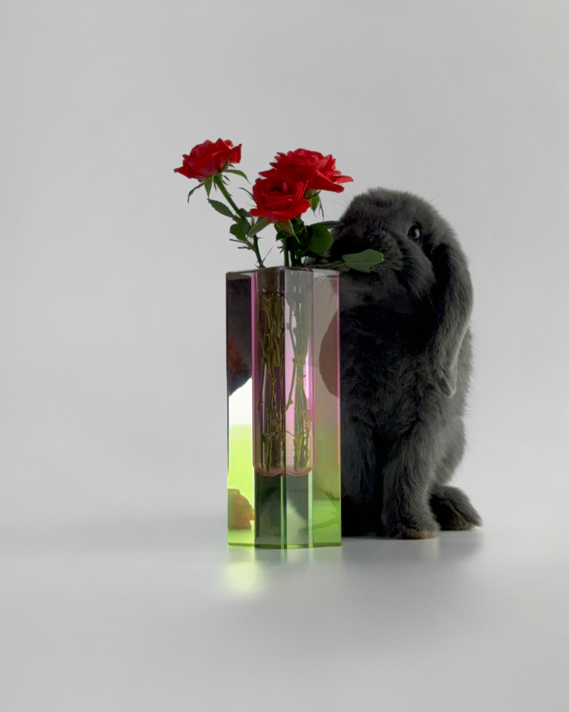 The Marbella Spring Vase