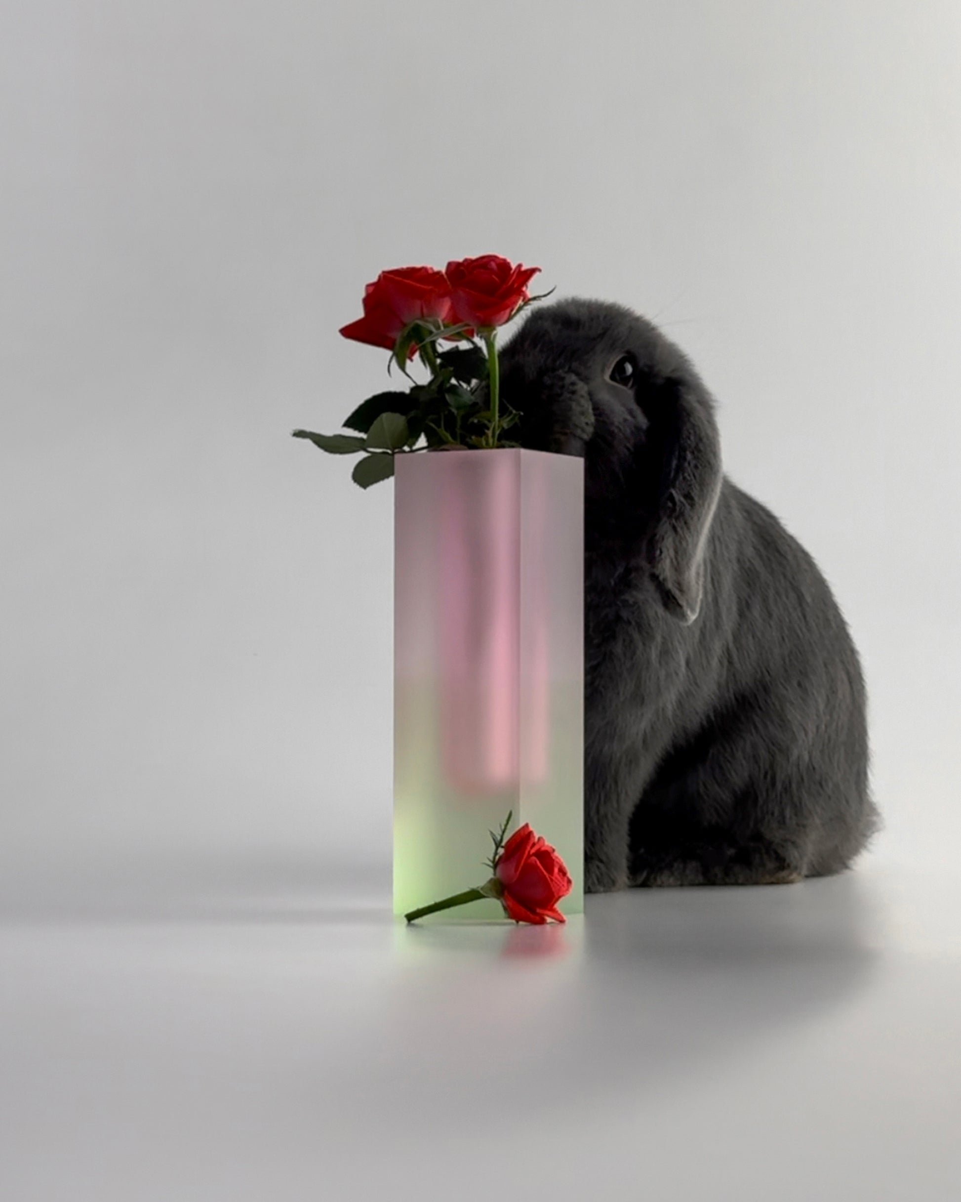 The Marbella Winter Vase