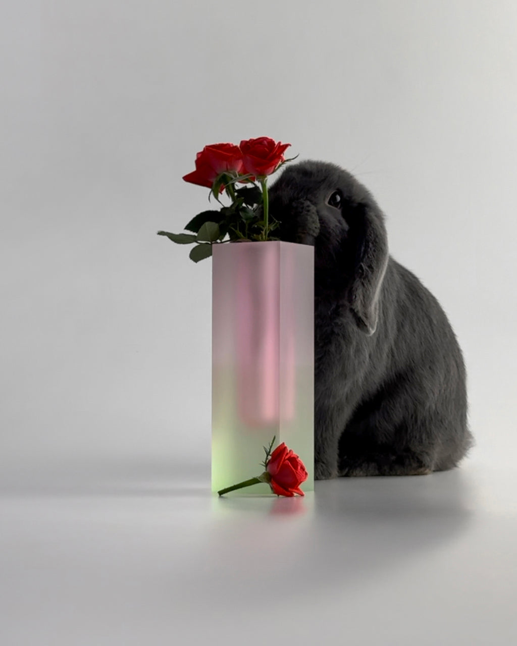 The Marbella Winter Vase