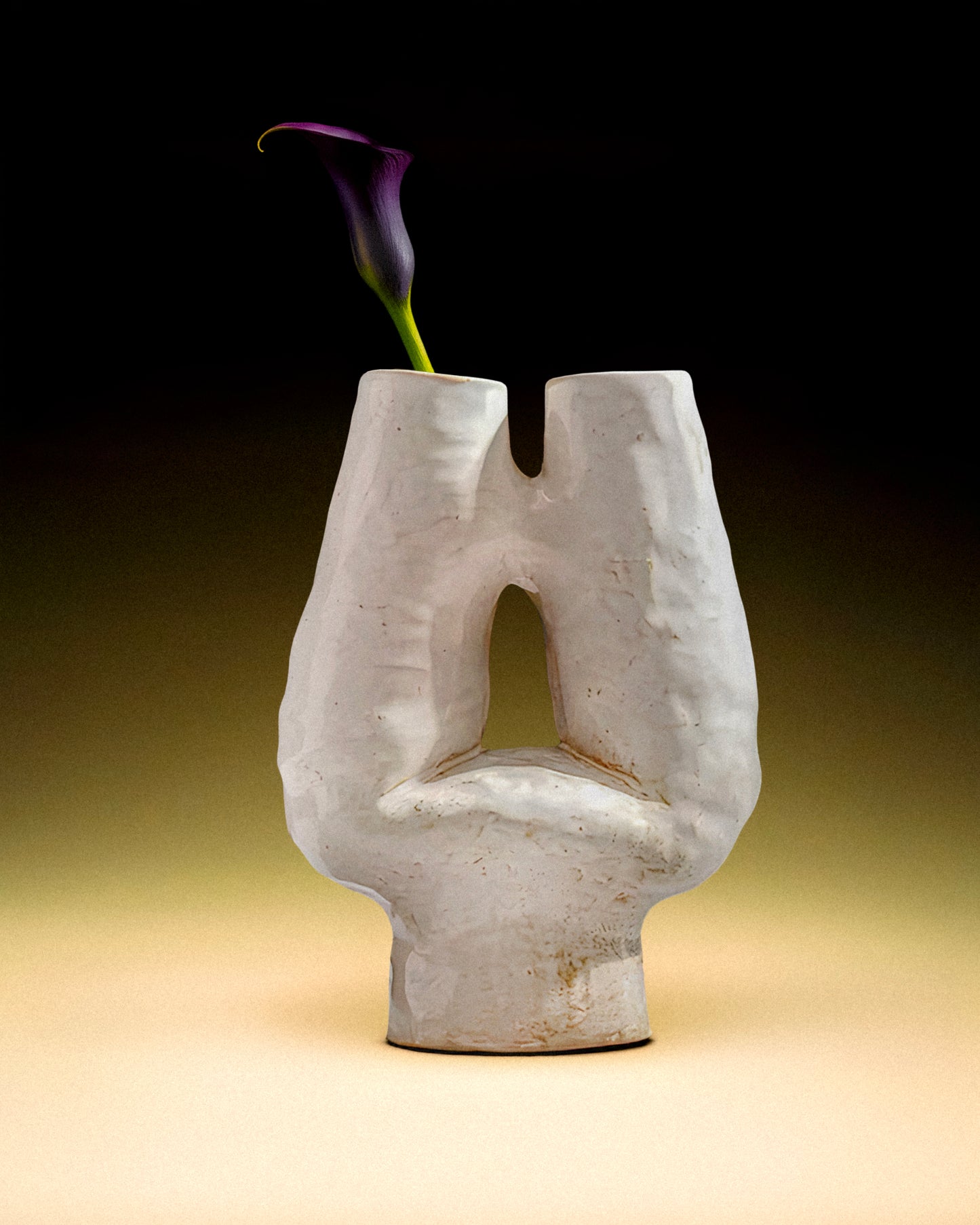 The Calypso Ceramic Vase